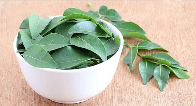 Curry Tree (Meetha Neem): Health Benefits, Uses, Side Effects And More